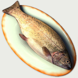 Zumar Fish Frumar